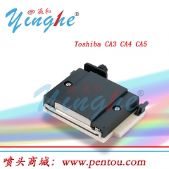 东芝Toshiba 喷头 东芝CA3/CA4/CA5喷墨打印头 原装正品打印喷头